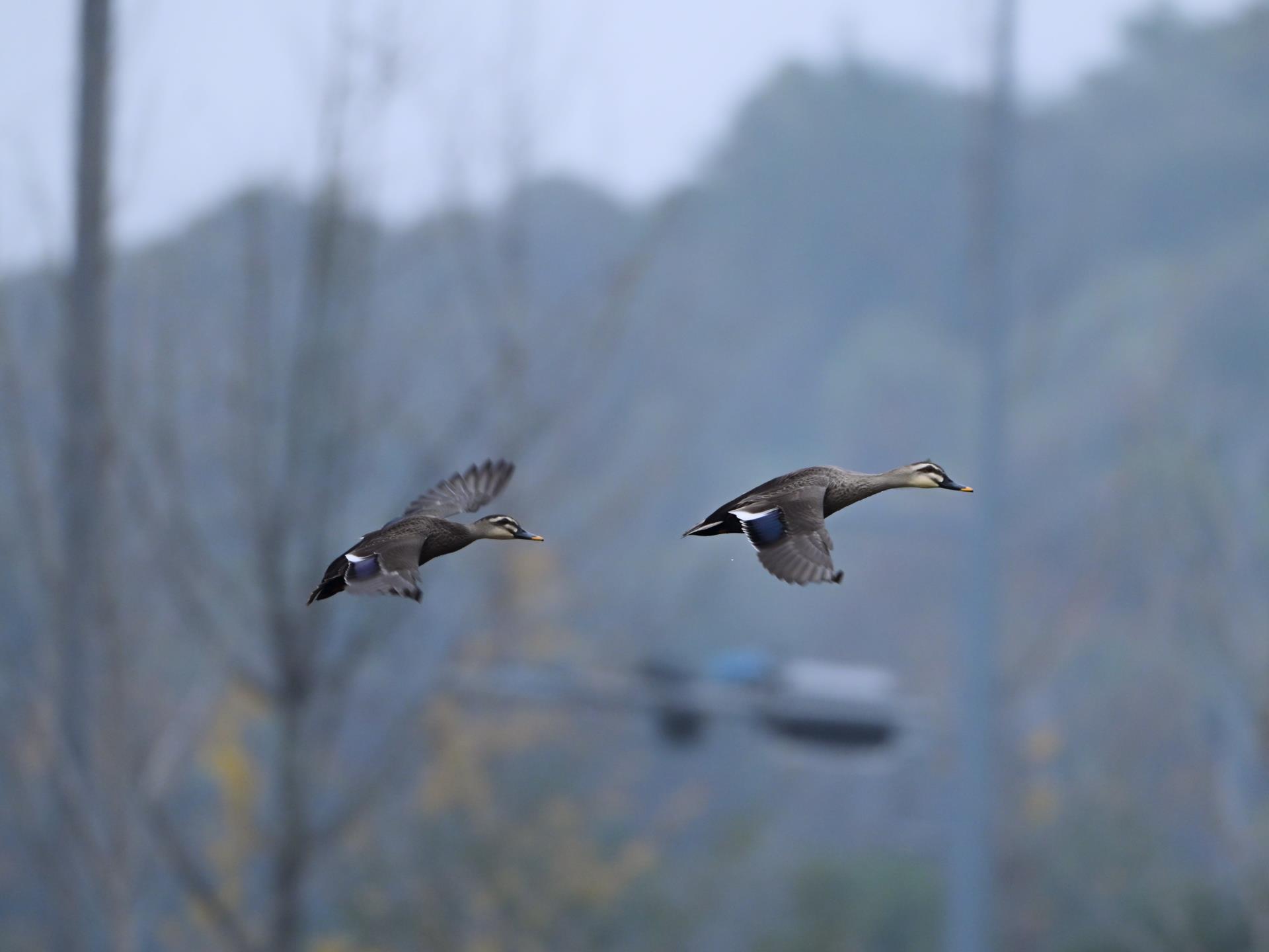 ΰ�¹���(victor1946)�ٷ���վ-Officials Website